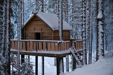 Wooden hut in winter forest with snow, a horizontal picture