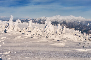View of a snow-laden landscape with trees heavily coated in frost against a backdrop of distant, snow-capped mountains, Mala Fatra, Zilina Region, Slovakia.