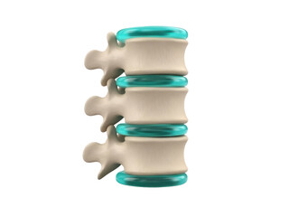 Isolated lumbar vertebrae with discs, a realistic anatomical render for medical illustration