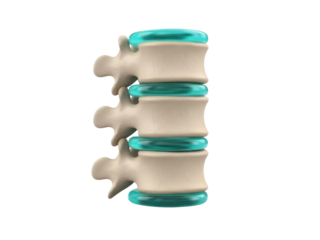 Isolated lumbar vertebrae with discs, a realistic anatomical render for medical illustration