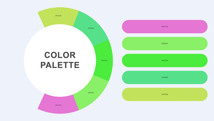 Pastel Color Palette Infographic – Modern Circular Chart with Hex Codes Vector
