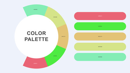 Pastel Color Palette Infographic – Modern Circular Chart with Hex Codes Vector