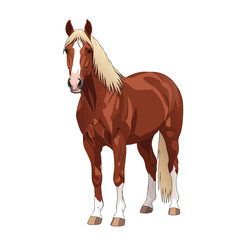Fototapeta premium Illustration of a majestic chestnut horse with a blond mane and tail, standing proudly on a white background, rendered in a realistic style