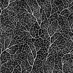 Fototapeta premium Black and White Leaf Veins Pattern