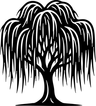Black and White Weeping Willow Tree Silhouette Graphic