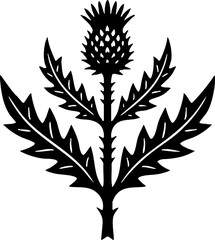 Obraz premium Stylized Scottish Thistle Plant Vector Illustration Black and White