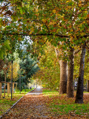 Bicycle and pedestrian lane along corso Sempione in Milan, Italy