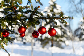 Christmas toys hanging on a snowy fir branch