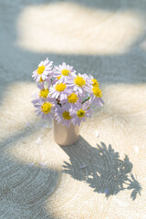 Top View of Small Daisy Vase with Beautiful Sunlight and Shadow on Table