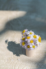 Top View of Daisy Flower Vase with Artistic Shadow and Wide Copy Space