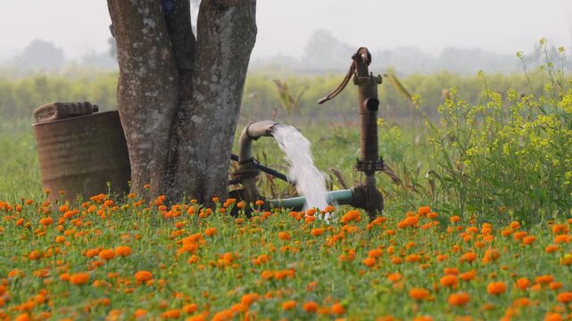 tube well or groundwater pump actively irrigating an agricultural field