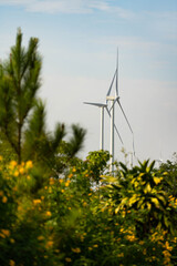 Vertical Shot of Wind Turbines among Green Foliage under Clear Sky