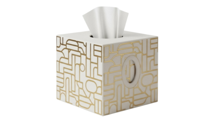 Isolated square tissue box with geometric design pattern, tissues sticking out of opening
