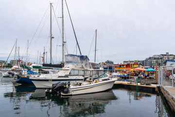 Fototapeta premium Boats moored in victoria harbor on vancouver island, british columbia, canada
