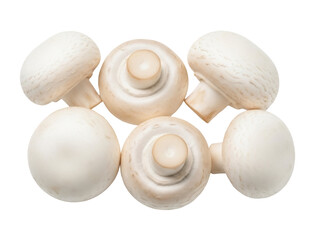 Isolated Button Mushrooms, Fungus, Fresh Fungi. Dietary Fiber, Vegetarian Meal, Ingredient