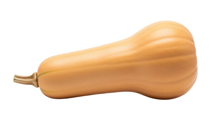 Isolated butternut squash, fresh gourd, tan vegetable, delicious and nutritious food
