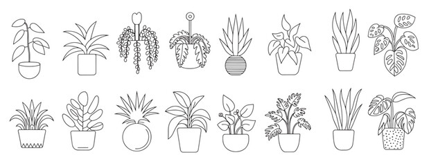 collection of twelve potted houseplant line art 