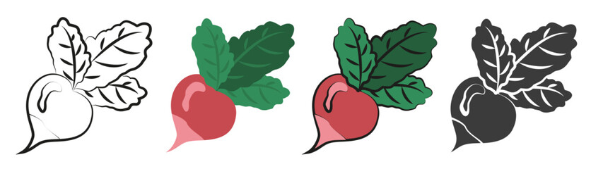 A set of radish icons in different styles outline, color, silhouette.