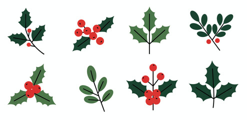  festive holly sprigs and berries for holiday decorations © dgkla