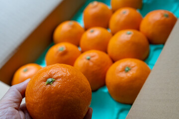 日本の産地直送箱入りみかん