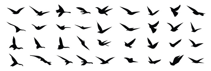 Fototapeta premium bird silhouettes vector