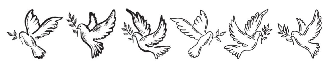 dove of peace hand drawn illustration 