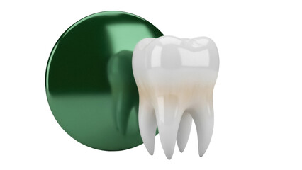 Realistic molar tooth isolated PNG on transparent background, dental anatomy model for educational and medical use, green round shape