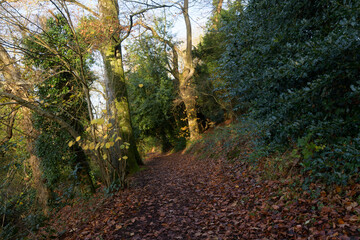 Obraz premium La rivière du Jaudy au niveau de La Roche-Derrien, en Bretagne