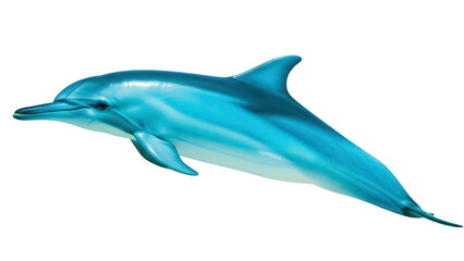 Isolated Dolphin Swimming Underwater Elegantly, Sea Animal Oceanic Predator Mammal Marine Life