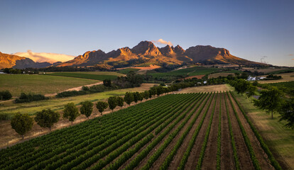 Obraz premium The golden mountain with a wine land on Stellenbosch 