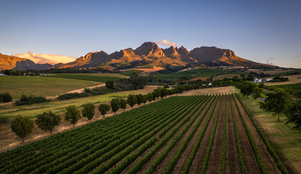 The golden mountain with a wine land on Stellenbosch 