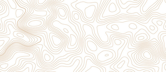 Abstract topographic wavy design. seamless flowing curve lines on white background. minimal contour line art pattern. terrain lines background. elevation contour map inspired vector design.