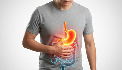 Digestive problems and stomach pain. Man suffering from heartburn, gastritis, or indigestion with highlighted internal organs.