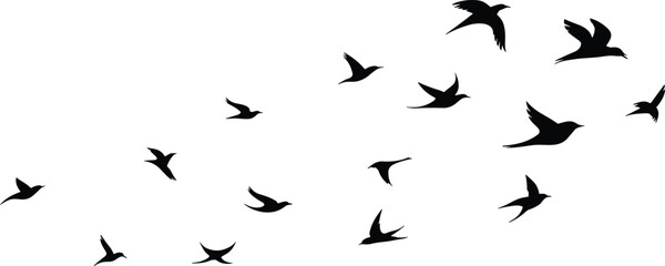 Flying bird silhouette flock in sky, black wildlife animal shapes collection isolated on white background vector illustration