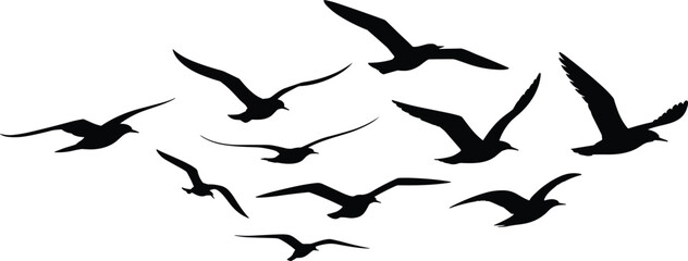 Flying bird silhouette flock in various poses, black wildlife animal shapes isolated on white background vector illustration design