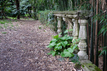 A balustrade along path in Southern Cultures park. Sirius. Krasnodar Krai. Russia