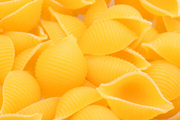 Dry conchiglie pasta or pasta shells close up. Food background.