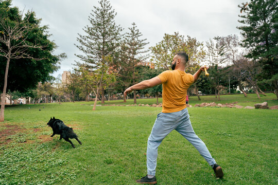 Man training his Belgian Shepherd in the park