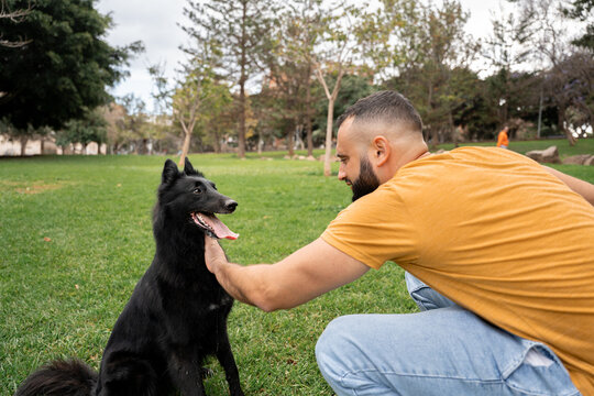 Man training Belgian Shepherd in a sunny park scene