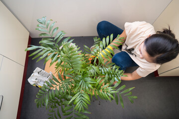 Woman repotting plant during indoor gardening activity