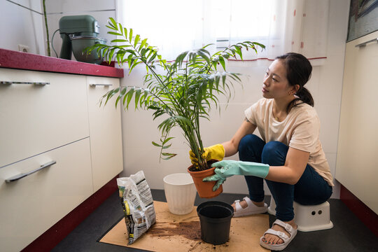 Woman repotting a plant in a cozy indoor setting
