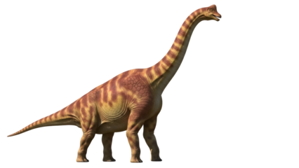 Isolated dinosaur Brachiosaurus with long neck walking quietly prehistoric ancient animal