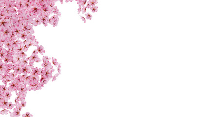 Cherry blossom left border frame transparent PNG 3D render