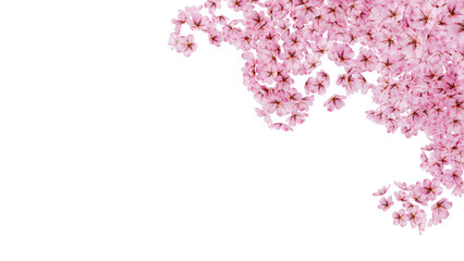 Cherry blossom corner frame transparent PNG 3D render