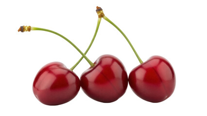 Isolated shiny red cherries on stems ready for healthy fruit snack or dessert ingredient