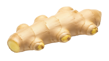 Isolated ginger root, an aromatic rhizome used as spice or medicine, in warm neutral tone