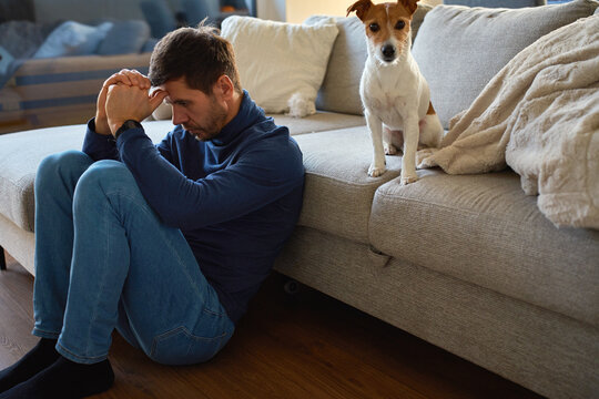 Depressed man sitting on floor with clasped hands near sofa while dog sits nearby at home. Concept of anxiety, stress, mental health and emotional support
