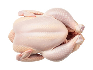 Isolated whole raw chicken uncooked, ready for cooking and roasting in the kitchen at home