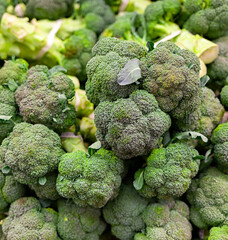 Fresh green broccoli florets at grocery market stall