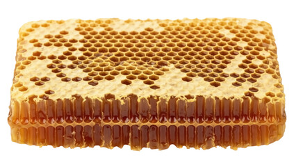 Isolated honeycomb with beeswax, honey, and hexagonal cells, ready for culinary use